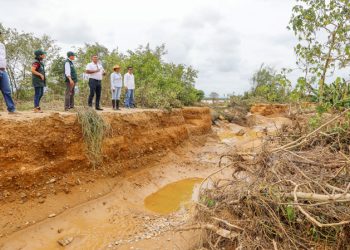Tumbes: Más de S/ 1.8 millones aprobados para otorgar seguro agrícola