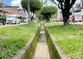 Promueven infraestructura verde para construcción de sistemas de drenaje pluvial sostenibles