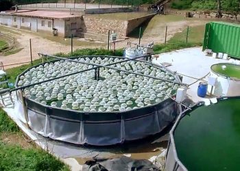 España: Desarrollan sistema que elimina hasta el 98% de nitratos en aguas subterráneas altamente contaminadas