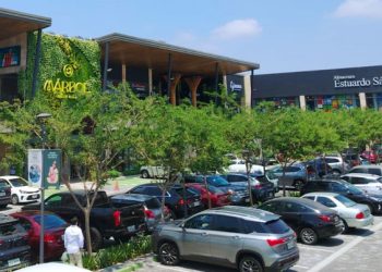 Jardines verticales: arquitectura viva y aliada del medio ambiente