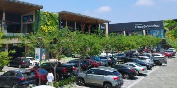 Jardines verticales: arquitectura viva y aliada del medio ambiente