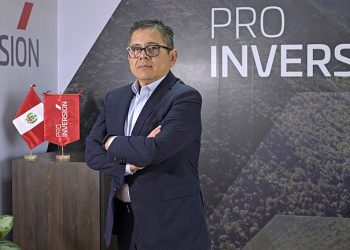 Luis Del Carpio es el nuevo director ejecutivo de Proinversión